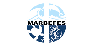 MARFEBES